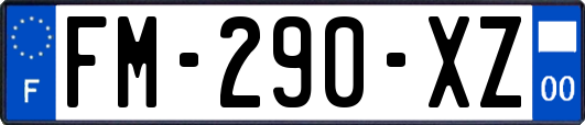 FM-290-XZ