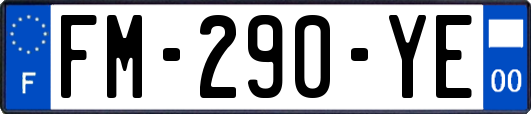 FM-290-YE