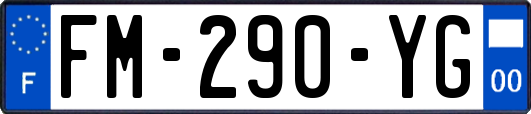 FM-290-YG