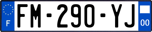FM-290-YJ