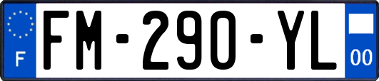 FM-290-YL