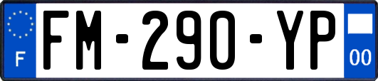 FM-290-YP