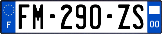 FM-290-ZS