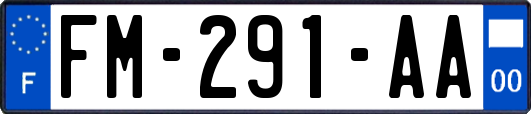FM-291-AA