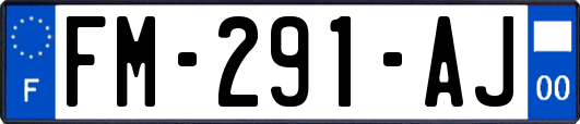 FM-291-AJ