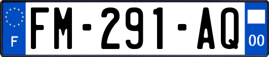 FM-291-AQ