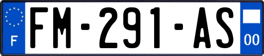 FM-291-AS
