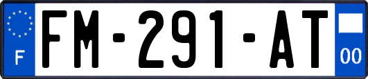 FM-291-AT