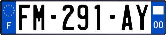 FM-291-AY