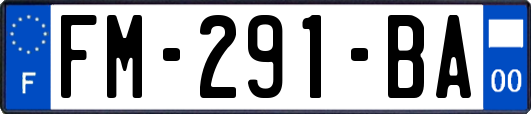 FM-291-BA