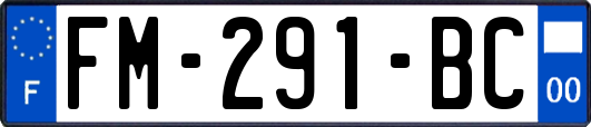 FM-291-BC