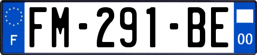FM-291-BE