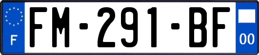 FM-291-BF
