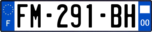 FM-291-BH