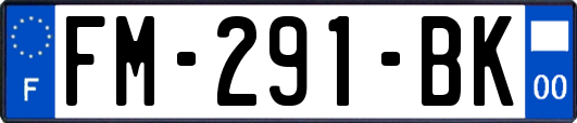 FM-291-BK