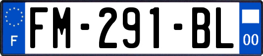FM-291-BL