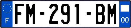 FM-291-BM