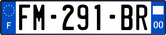 FM-291-BR