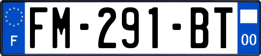 FM-291-BT