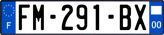 FM-291-BX
