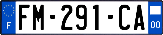 FM-291-CA