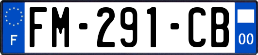 FM-291-CB