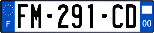 FM-291-CD