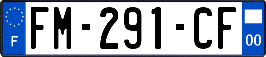 FM-291-CF