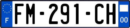 FM-291-CH