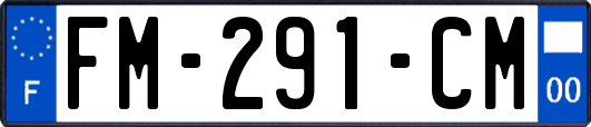 FM-291-CM