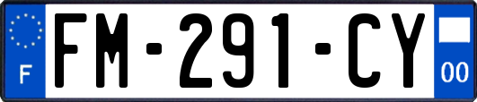 FM-291-CY