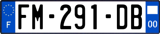 FM-291-DB