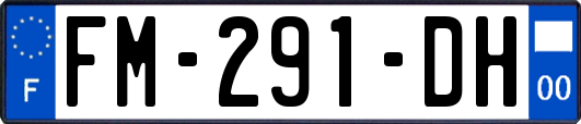 FM-291-DH