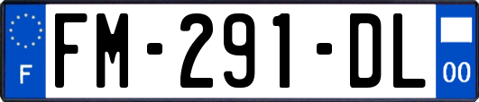 FM-291-DL