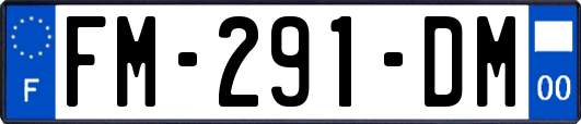 FM-291-DM
