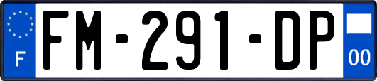 FM-291-DP