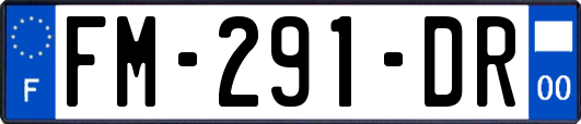 FM-291-DR