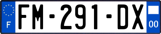 FM-291-DX