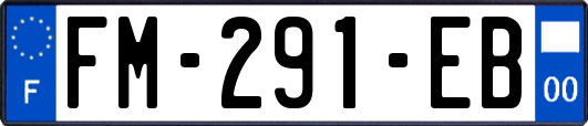 FM-291-EB