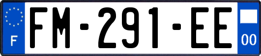 FM-291-EE