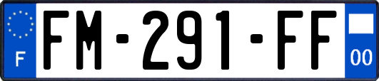 FM-291-FF