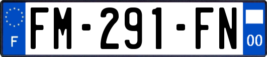 FM-291-FN