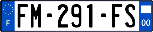 FM-291-FS