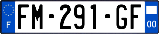 FM-291-GF