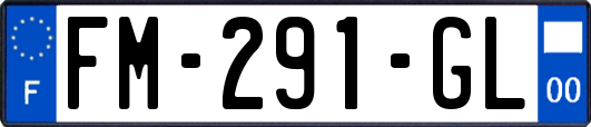 FM-291-GL