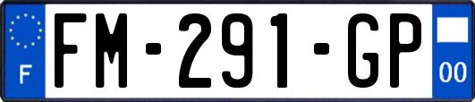 FM-291-GP