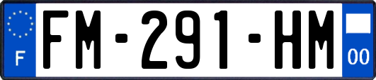 FM-291-HM