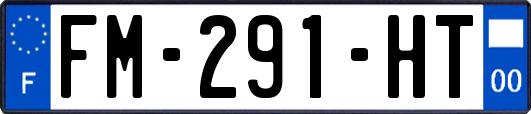 FM-291-HT
