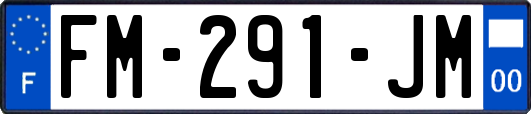 FM-291-JM