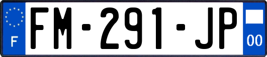 FM-291-JP
